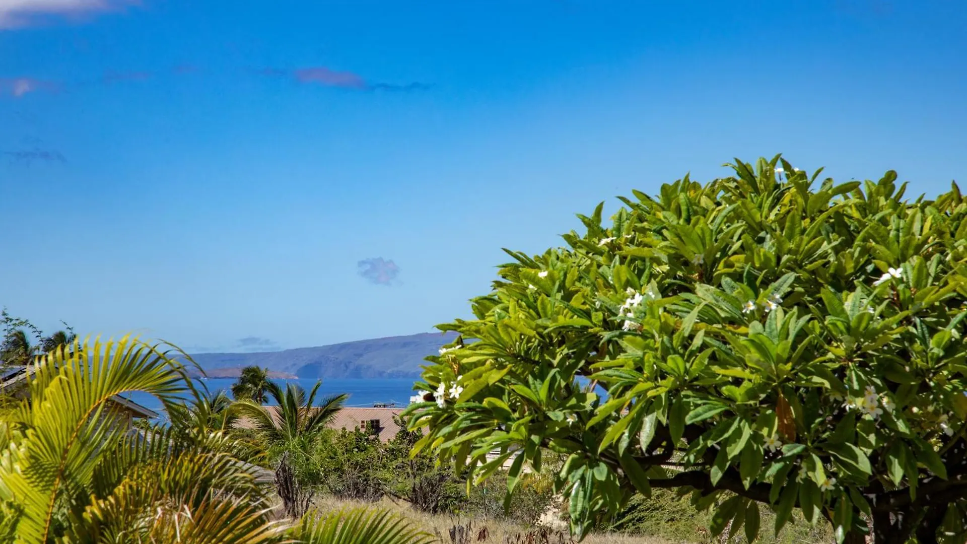 Kihei Ali'I Kai Condo With King Bed, 55
